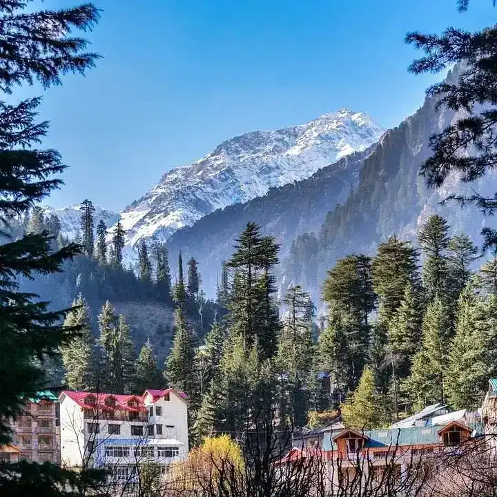 Shimla Manali Corporate Tour Package