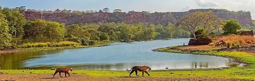 Ranthambore Tour Packages