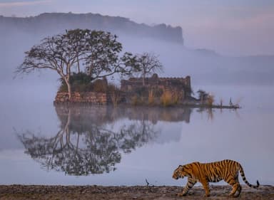 Jim Corbett National Park Tour Package