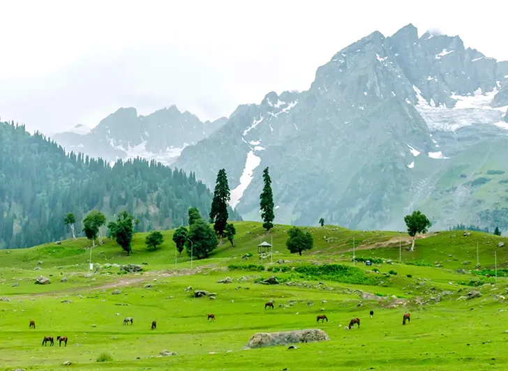 Amarnath Yatra Package