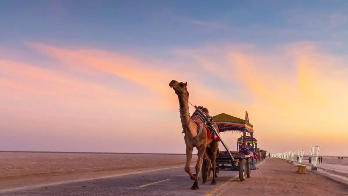 Run of kutch - Place to Visit in December