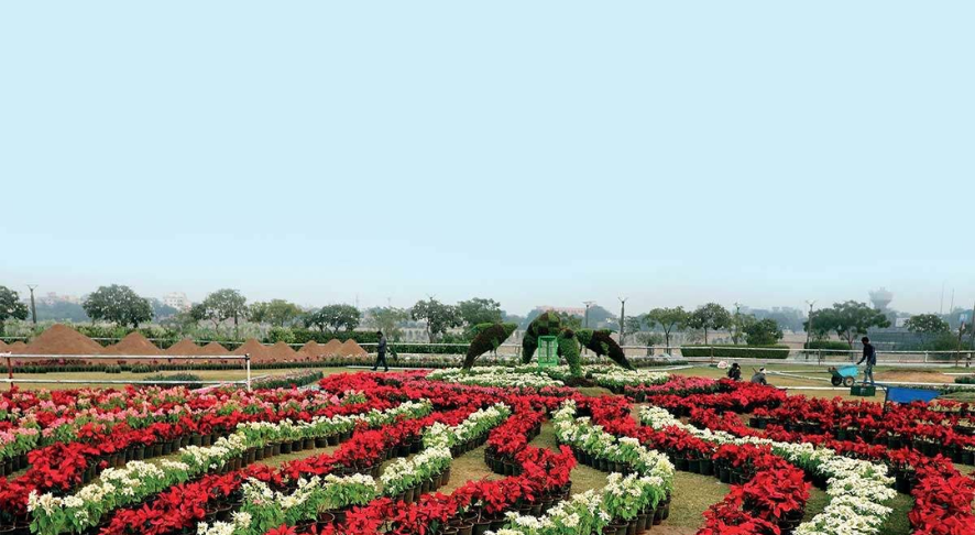 Rose Gardens Pushkar - Place to Visit in Pushkar