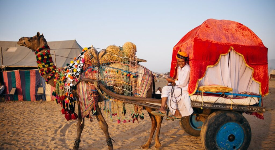 Desert Safari - Place to Visit in Pushkar