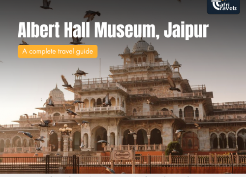 Albert Hall Museum, Jaipur: A Complete Travel Guide
