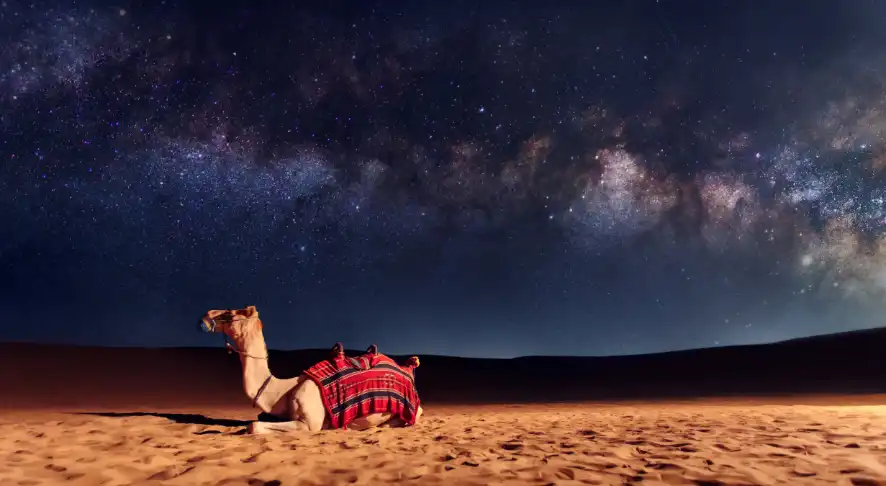 Stargazing