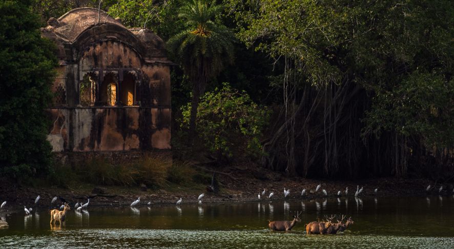 Raj Bagh Ruins