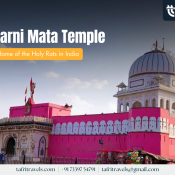 Karni Mata Temple Bikaner