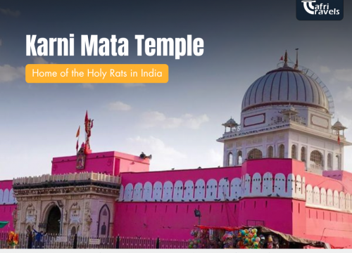 Karni Mata Temple – Home of the Holy Rats in India