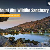 Mount Abu Wildlife Sanctuary