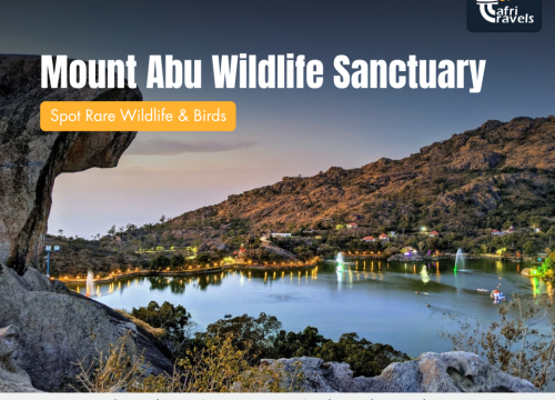 Mount Abu Wildlife Sanctuary – Spot Rare Wildlife & Birds
