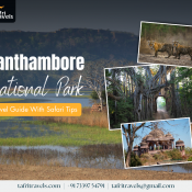 Ranthambore National Park