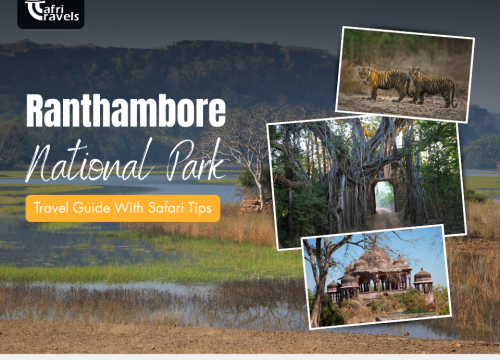 Ranthambore National Park Travel Guide With Safari Tips