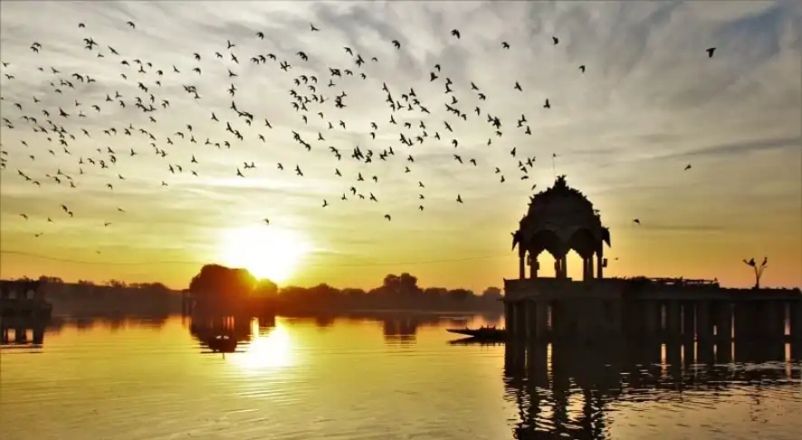 Gadisar Lake Birds watching