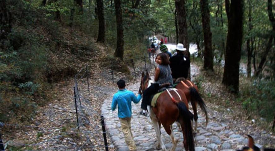 Mount Abu Horse Ride