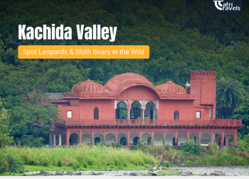 Kachida Valley – Spot Leopards & Sloth Bears in the Wild