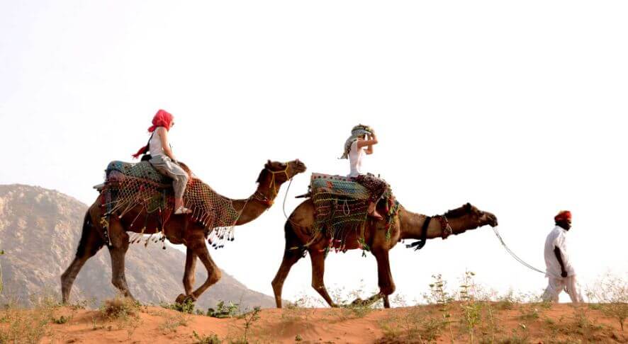 Camel Ride Pushkar Fair