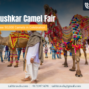 Pushkar Camel Fair