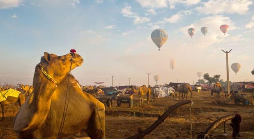 Pushkar Camel Fair Photography