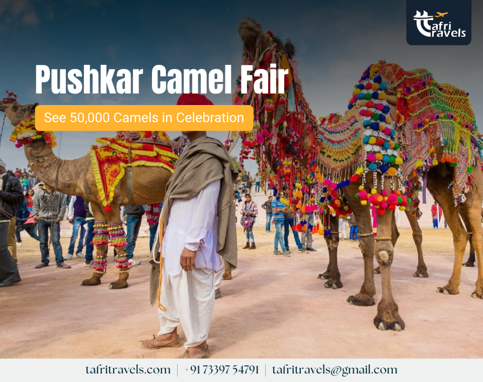 Pushkar Camel Fair