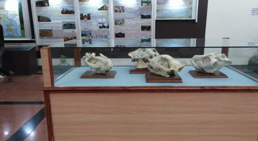 Rajiv Gandhi Regional Museum Exhibition 