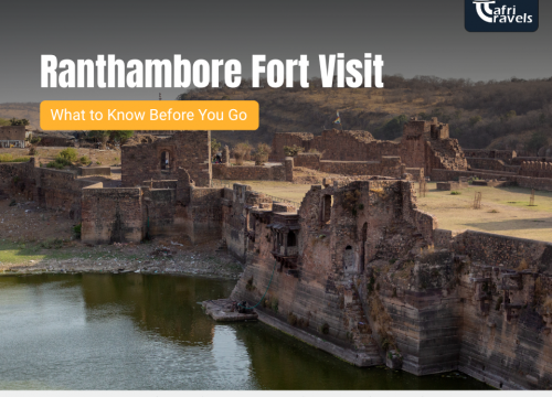 Ranthambore Fort Visit – What to Know Before You Go