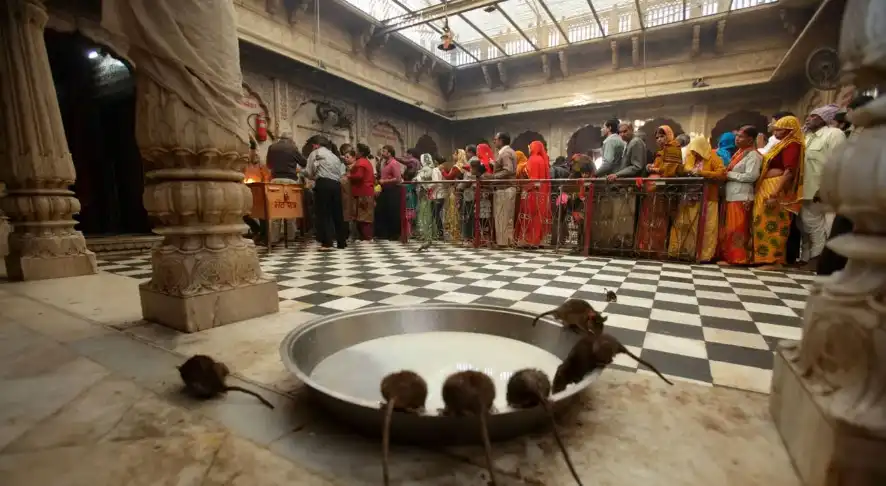 Karni Mata Fair