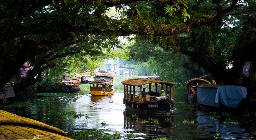 Alappuzha Backwaters: Places to Visit in Alappuzha