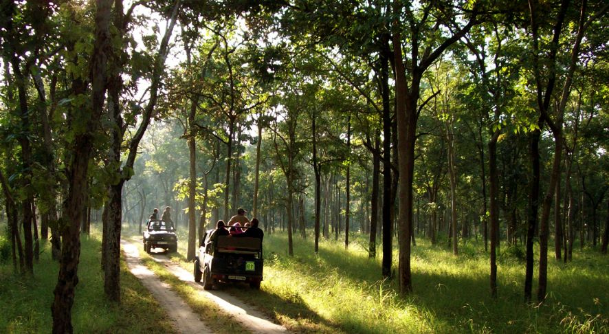 Flora and Fauna of Keoladeo Ghana National Park