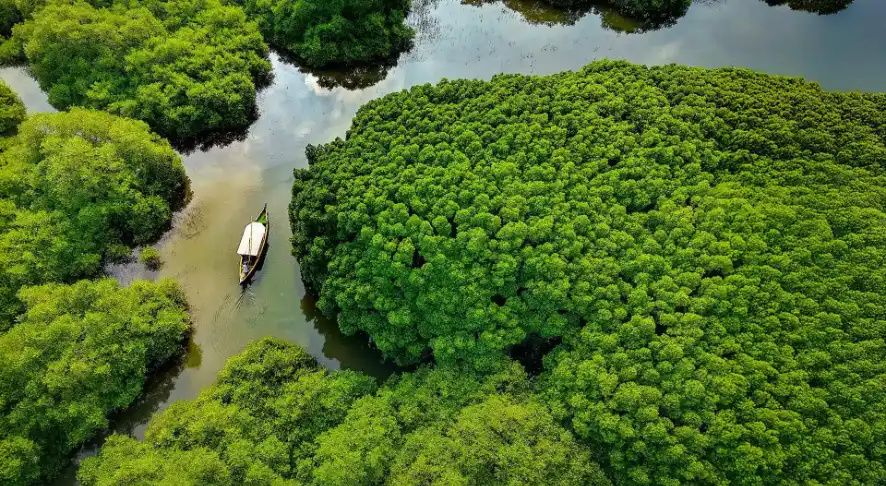 Kadalundi Bird Sanctuary