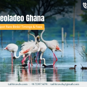 Keoladeo Ghana National Park, Bharatpur