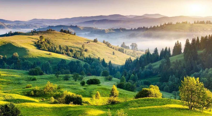 Kodaikanal, Tamil Nadu