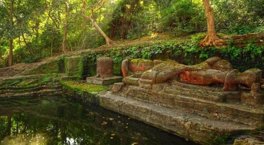 Bandhavgarh National Park, Madhya Pradesh