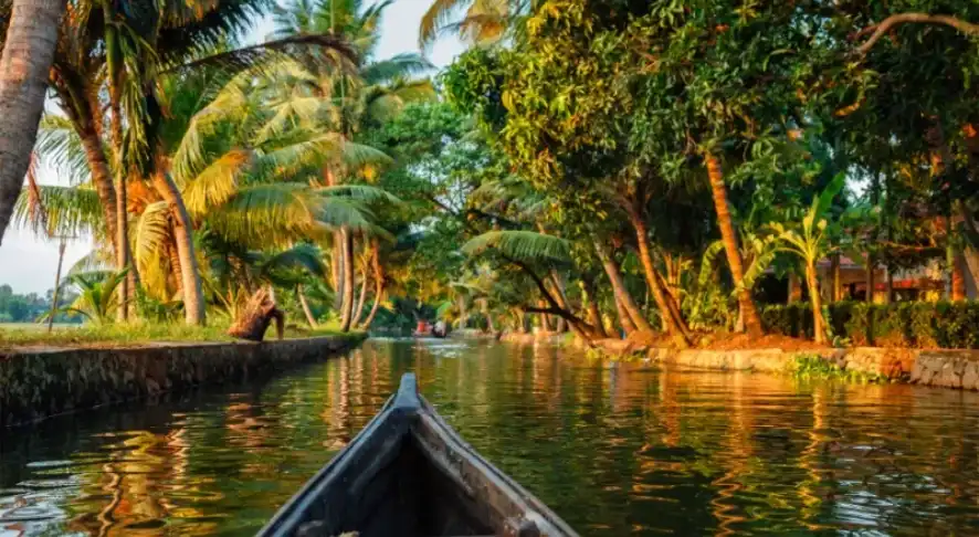 Unique Experiences in Kozhikode