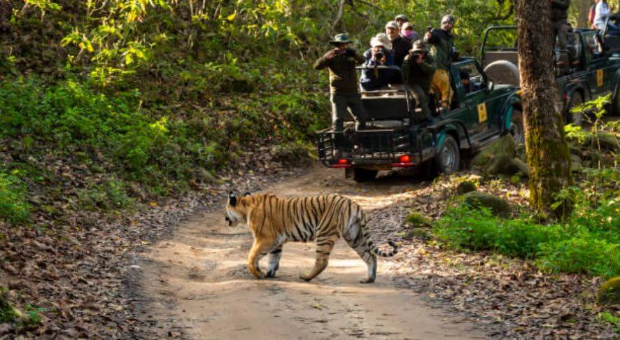 Jim Corbett National Park, Uttarakhand