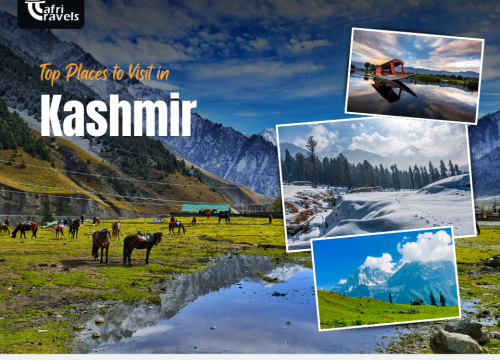 Places to Visit in Kashmir – Ultimate Tourism Guide