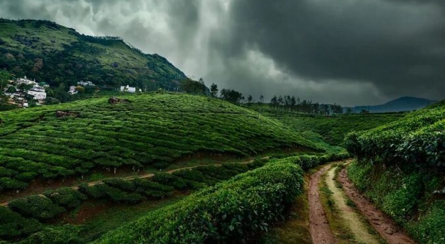 Kozhikode in Monsoon