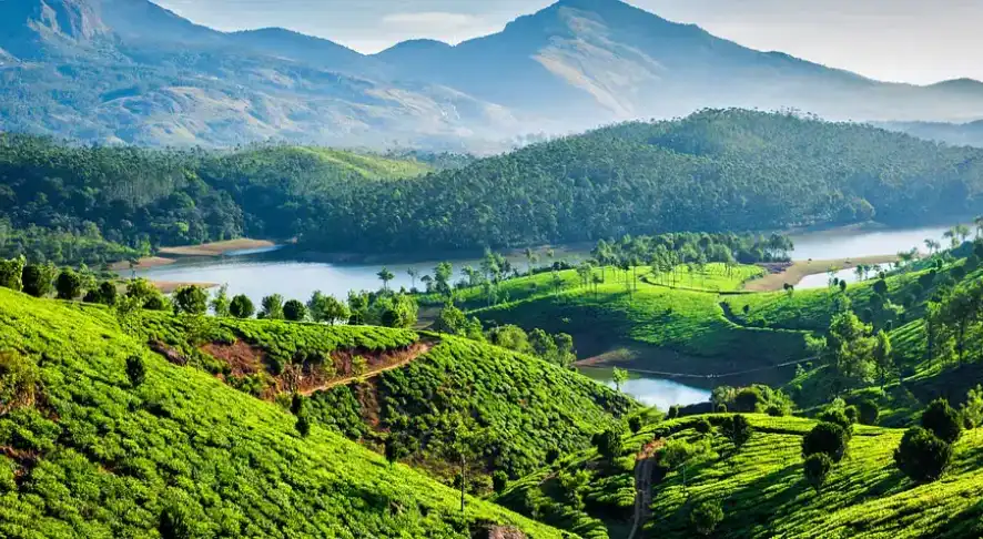 Munnar, Kerala Places to Visit in South India