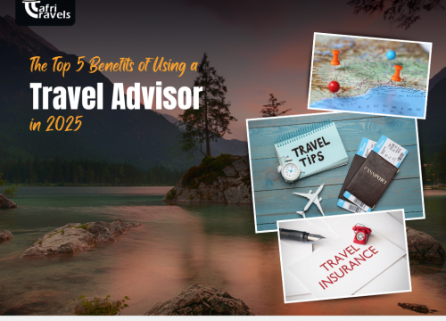 The Top 5 Benefits of Using a Travel Advisor in 2025 
